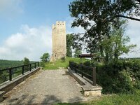 comp_Tautenburger_ForstTautenburger Forst 19Gespinst-2.jpg