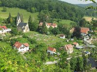 comp_Tautenburger_ForstTautenburger Forst 24Gespinst-2.jpg