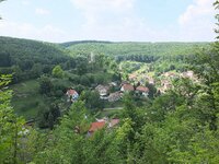 comp_Tautenburger_ForstTautenburger Forst 1010Gespinst-2.jpg