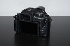 Pansonic GH1 - 3.jpg