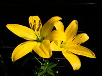 DSCF2993.jpg