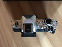 IMG_5083 (Klein).jpeg