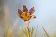 IMG_2744-1.jpg