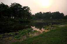 Chitwan-NP am Abend-1.jpg