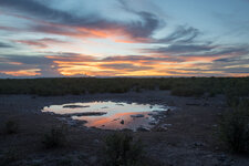 20180306_192446_cape_cross_namibia_321-HDR.jpg