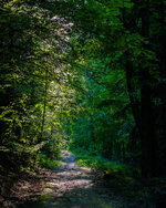 DSC_2264.jpg