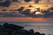 Bretagne Frühling 2018-24.jpg