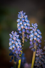 DSC_4573_LR.jpg