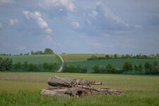 DSCF0623.jpg