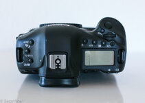 Canon EOS 1DX-8.jpg