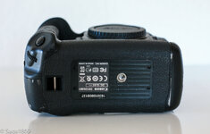Canon EOS 1DX-9.jpg
