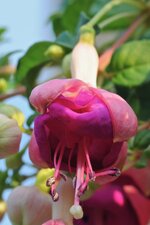 DSC_5428.jpg