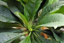 test_02.jpg