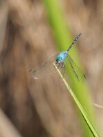 20180516_164153.jpg