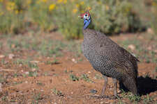 20180310_174910_namibia_200.jpg