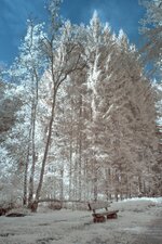 Compressed_0373.jpg