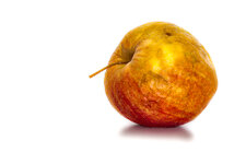 Apfel.jpg