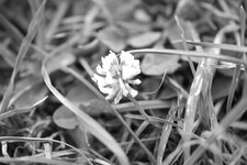 SDIM0045_web.JPG