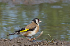 IMG_8590-Bearbeitet-3.jpg IMG_8590-Bearbeitet-3.jpg
