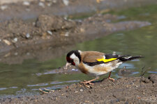 IMG_8593-Bearbeitet-2.jpg IMG_8593-Bearbeitet-2.jpg
