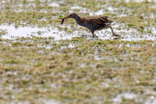 IMG_7744.jpg IMG_7744.jpg