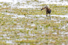 IMG_7743.jpg IMG_7743.jpg