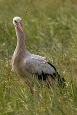 IMG_7718.jpg IMG_7718.jpg