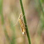 HD_P1270086CHF.jpg