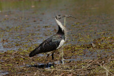 DQ5R9452.jpg DQ5R9452.jpg