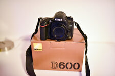 d6002.jpg