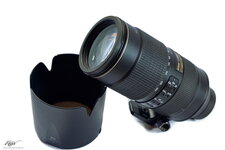 Nikon 80-400 03a.jpg
