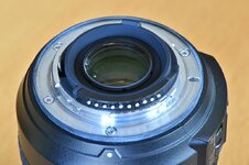 comp_D4S_2486.jpg