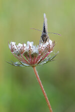 20130716-IMG_1843.jpg