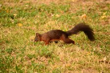 1comp_DSC_0317.jpg