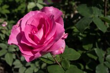 comp_P7020029.jpg