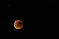IMG_7820comp.jpg