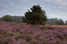 Bild058407.jpg