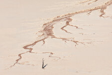 9L9A8084-3.jpg