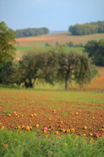 DSCF0745.jpg