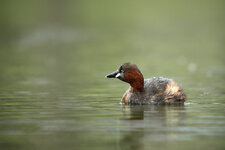 _5001755.jpg _5001755.jpg