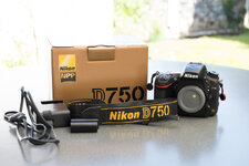 Nikon-1.jpg