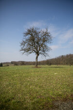 W03A0688-web.jpg