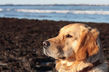 IMG_1904.jpg IMG_1904.jpg