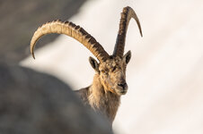 5DM32913-LR4-4-dslr.jpg