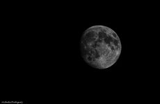 moon.jpg