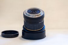 _MG_0011.jpg