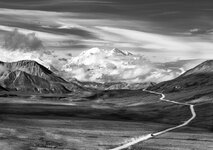 Alaska-Denali-Park-Tour_forum.jpg