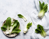 martin willmann foodfotograf pak choi bright.jpg