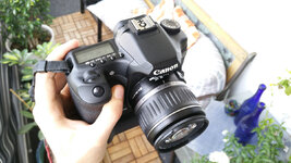 Canon 40D komprimiert-3.JPG