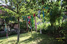 IMG_1251.JPG